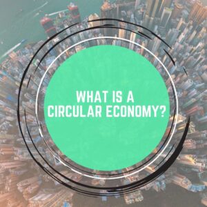 What is a circular economy?