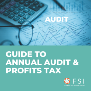 Guide to annual audit & profits tax